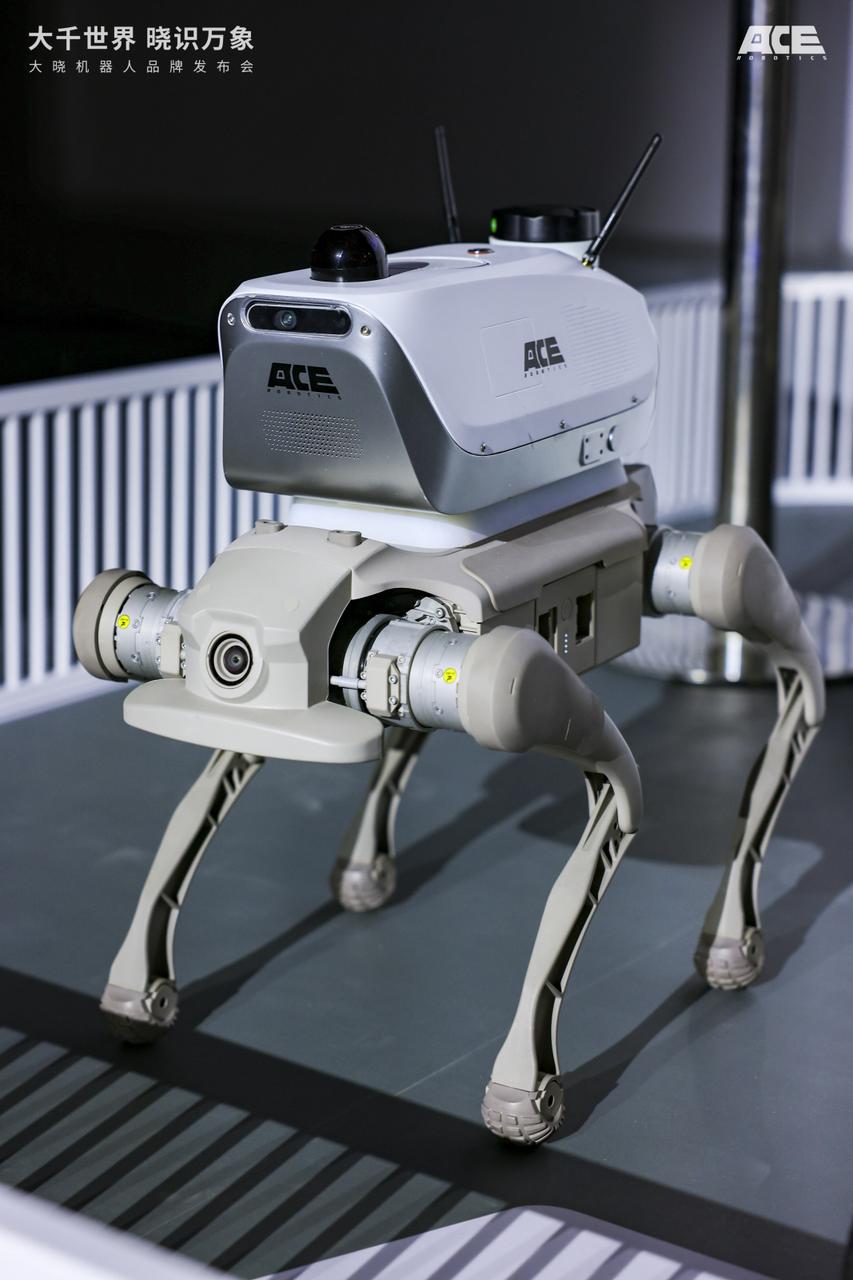 1766627551731997.jpeg ec3dccb5-9ee0-4988-80a7-f969b8c0fa12.jpeg