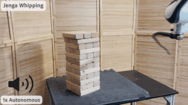 1766720791342069.gif 640.gif